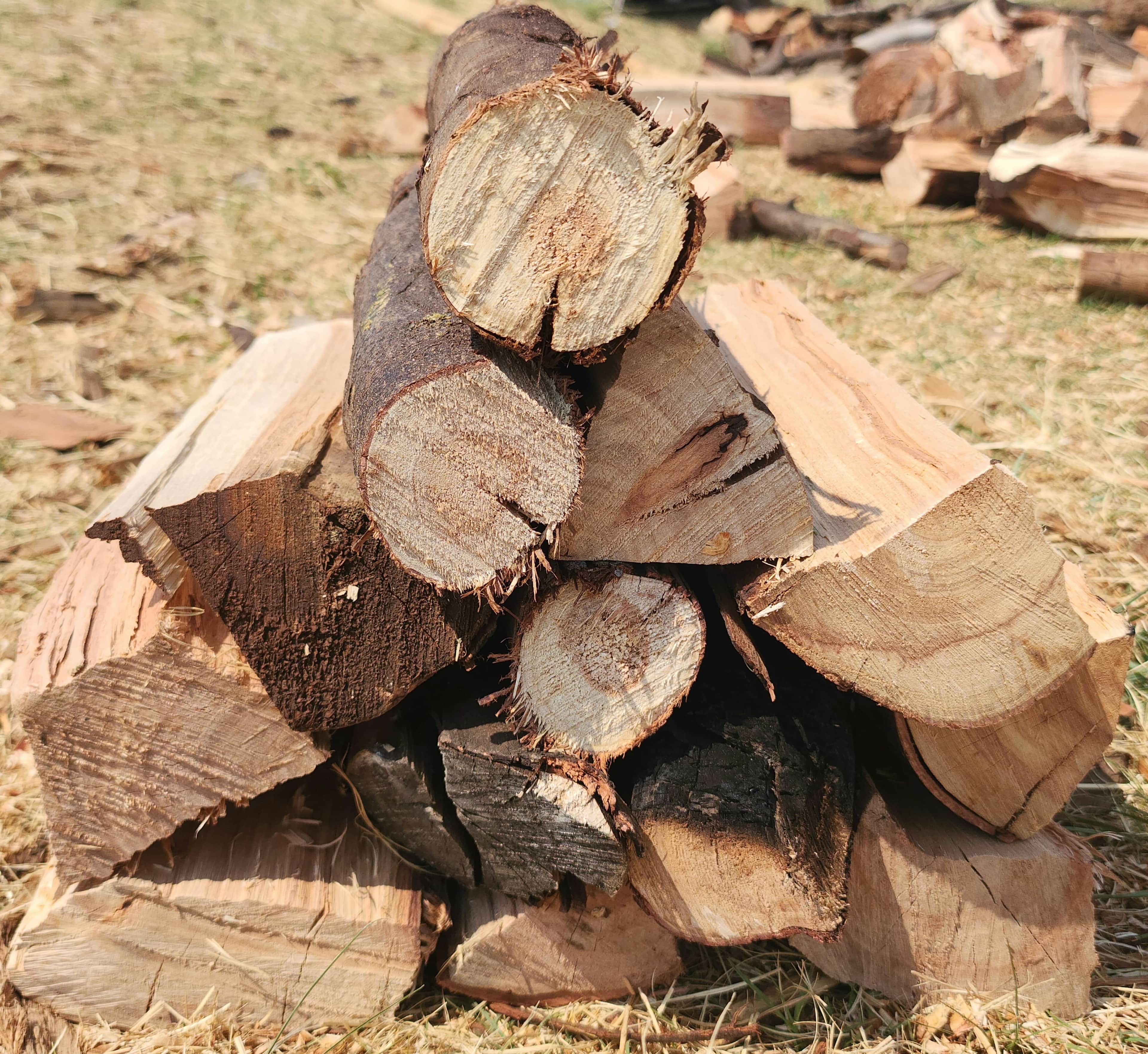 Black Wattle firewood - additional view