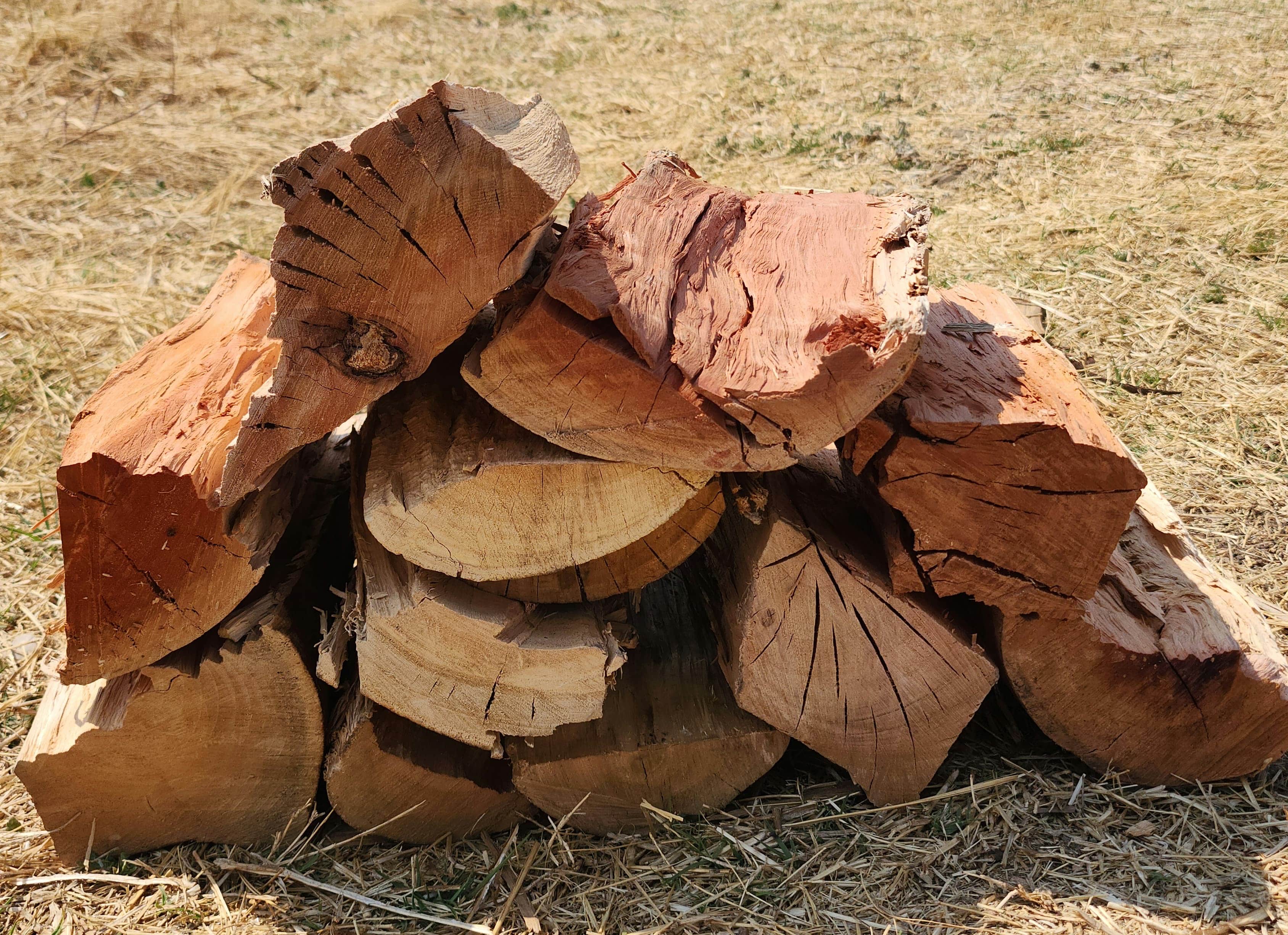 Bluegum Wood firewood - additional view